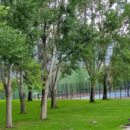 Estelas De Cantabria *