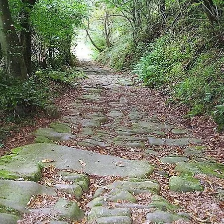 Estelas De Cantabria Corrales De Buelna