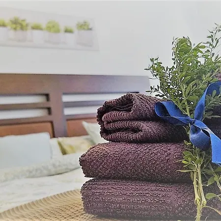 Estelas De Cantabria *