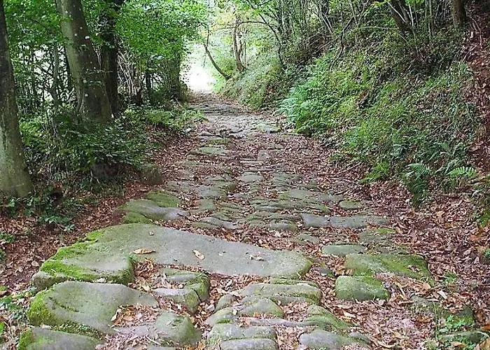 Estelas De Cantabria Corrales De Buelna