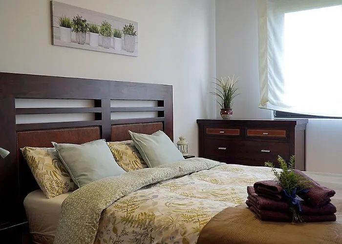 Estelas De Cantabria *